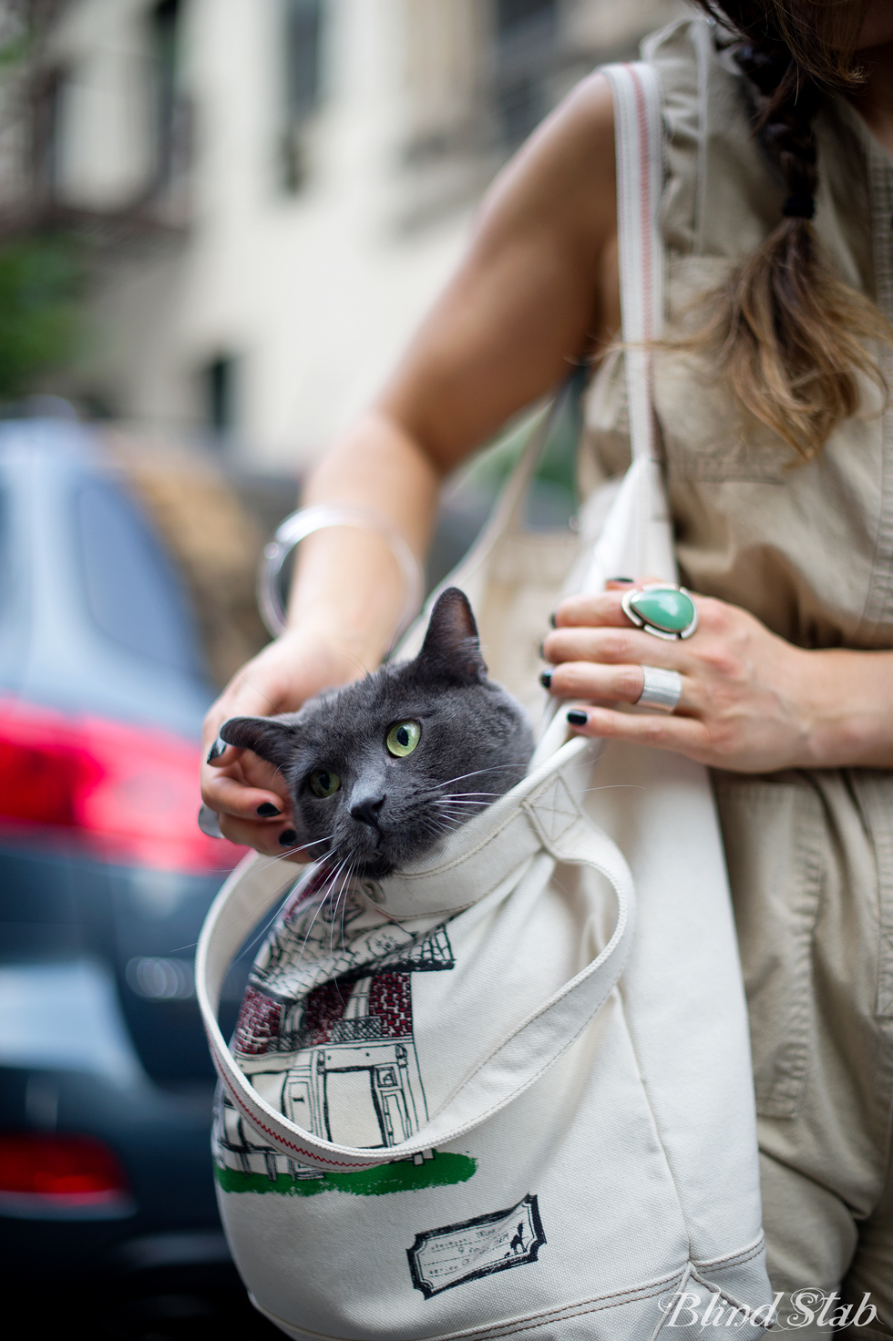 Blogger-Cat-Face-Tote-Purse