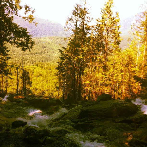 Waterfall-Blogger-Forest-Green-Trees