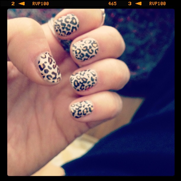 Leopard-Print-Sticks-Stickers-Kiss