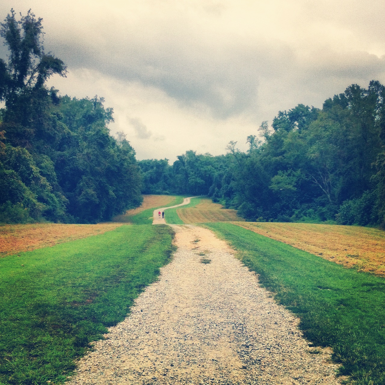 Yellow-Brick-Road-Endless