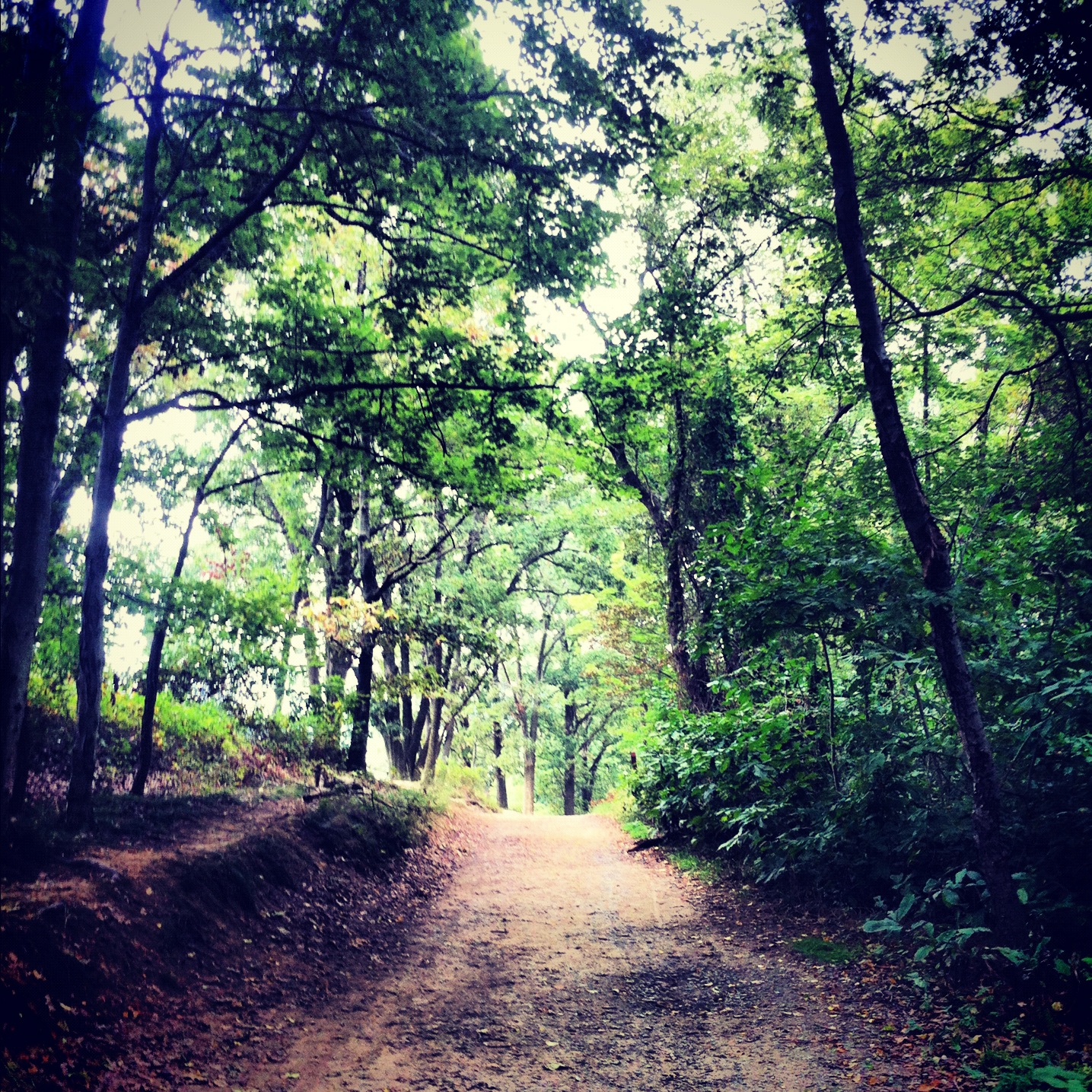 Instagram-Hike-Maryland