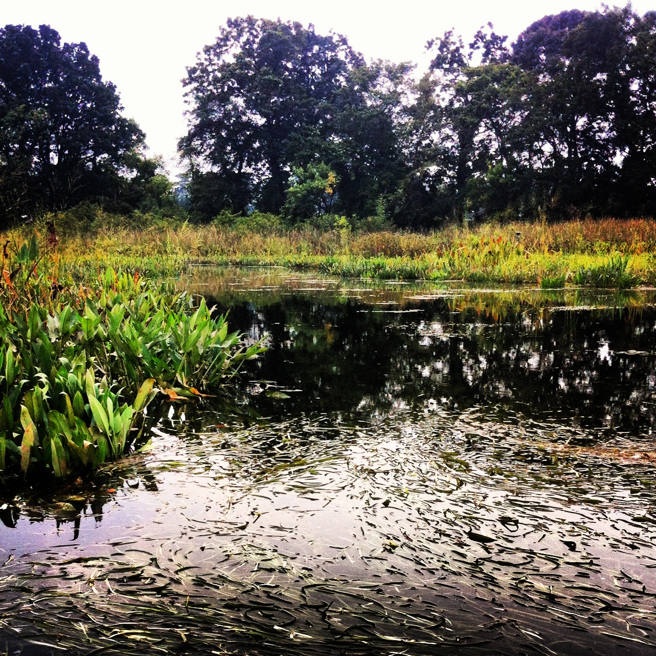 Instagram-Kayak-Maryland