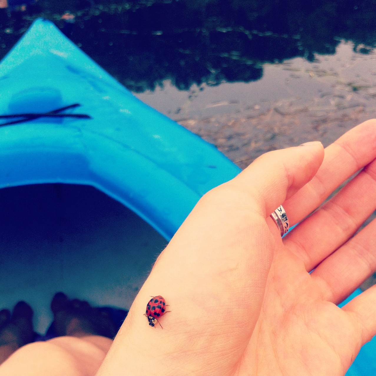 Instagram-Kayaking-Maryland