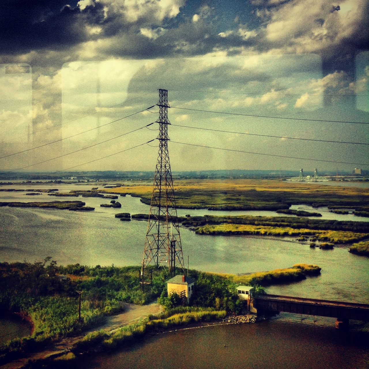 Instagram-Photo-Swamps