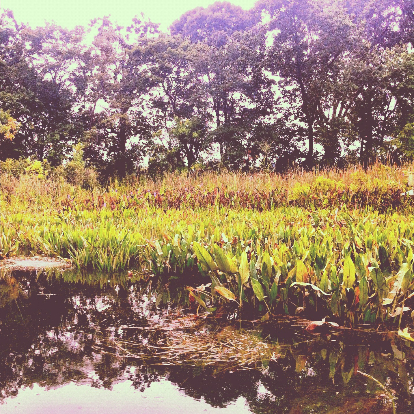 Instagram-Kayaking-Maryland