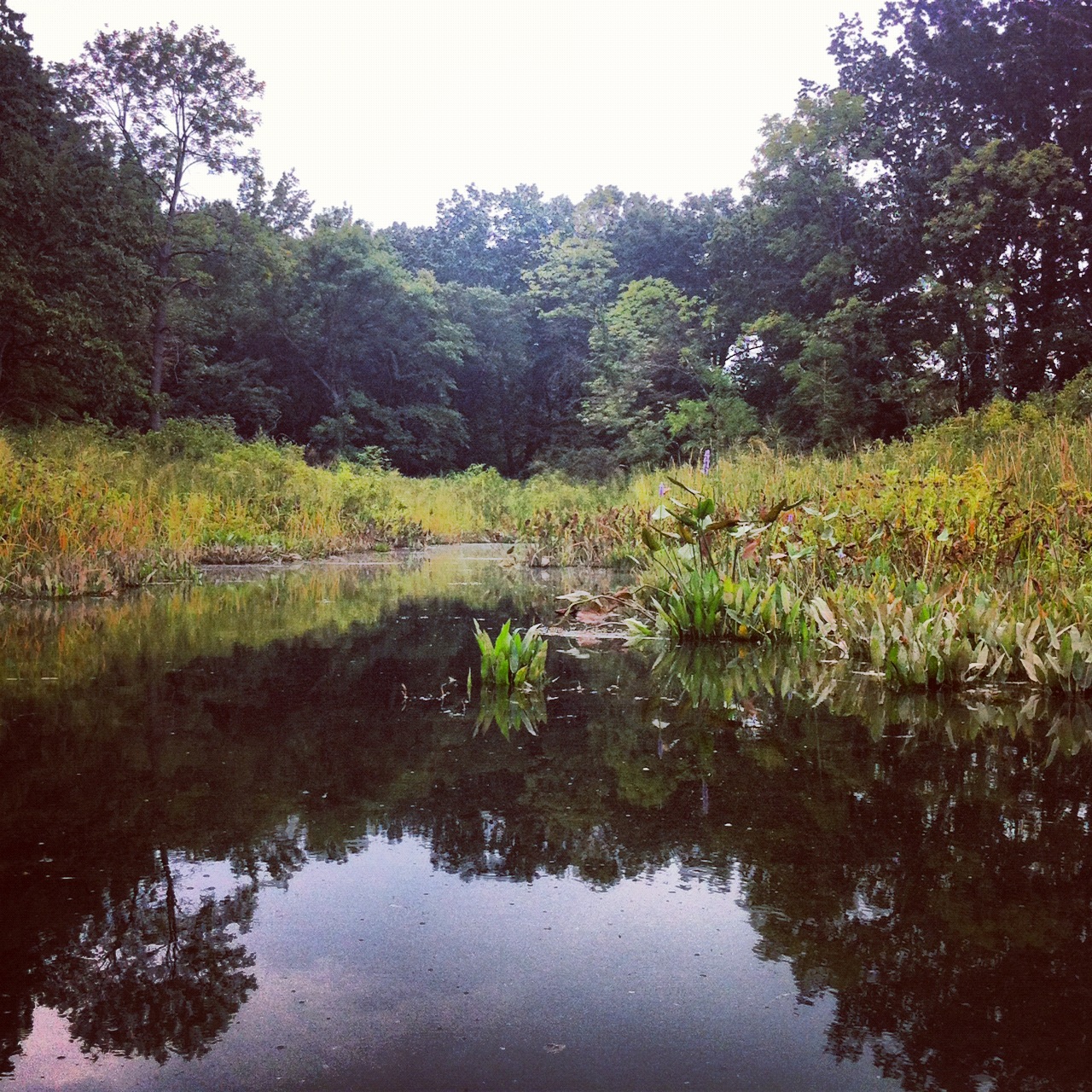 Maryland-Park-Instagram-Lake