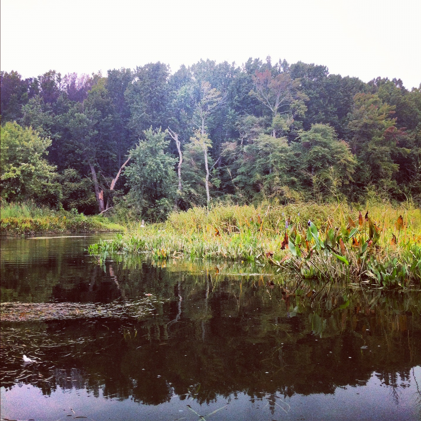 Maryland-Park-Instagram-Kayak