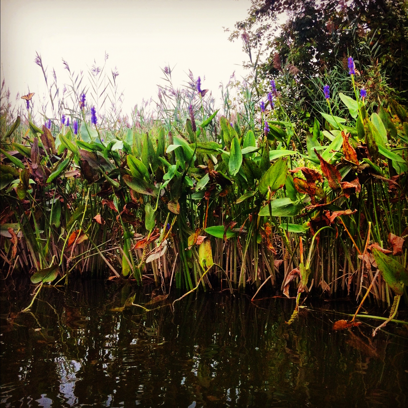 Instagram-Kayak-Maryland