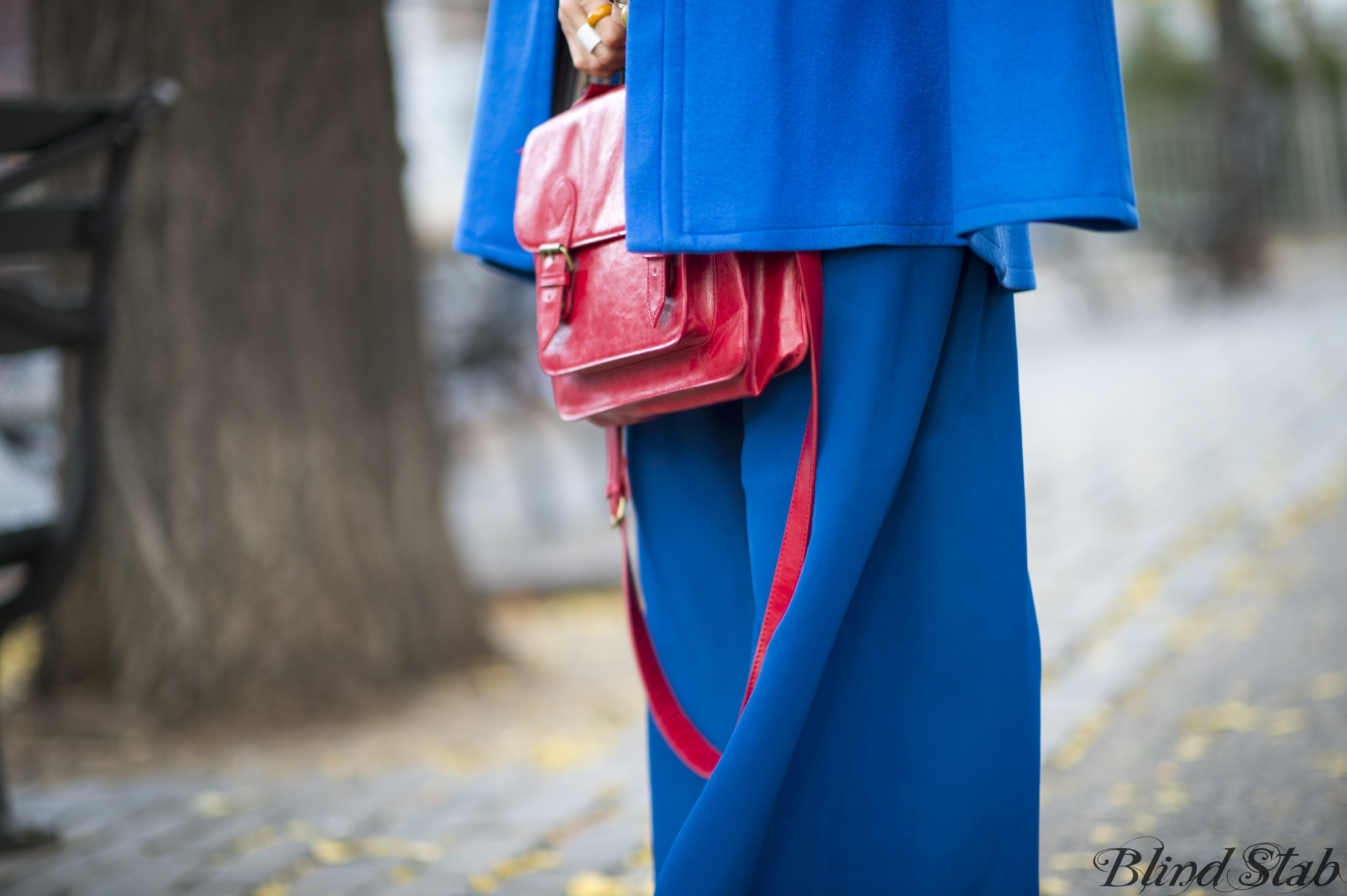 Blue-Cape-Sheer-Pants-Satchel