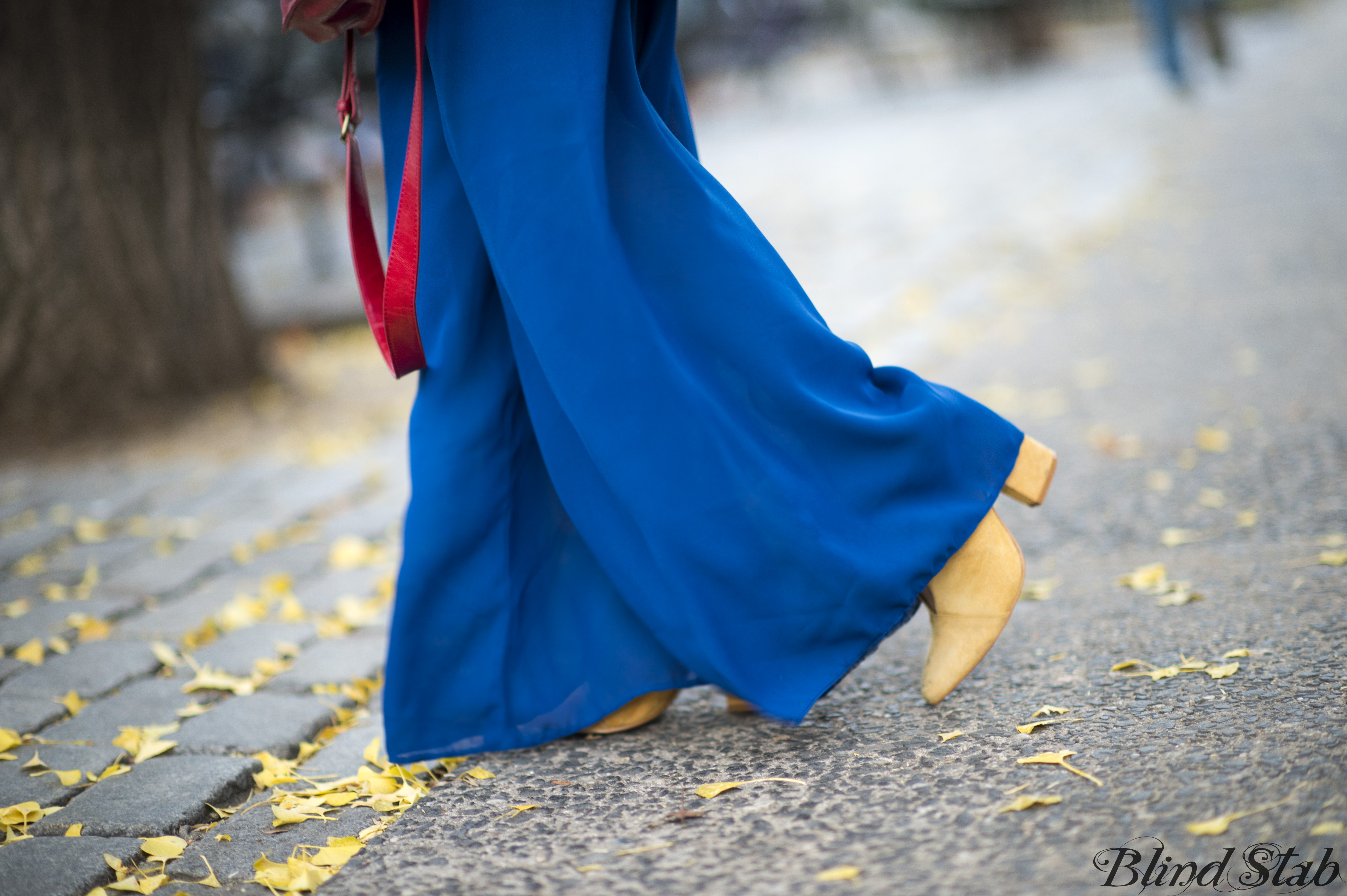 Blue-Cape-Sheer-Pants-Satchel