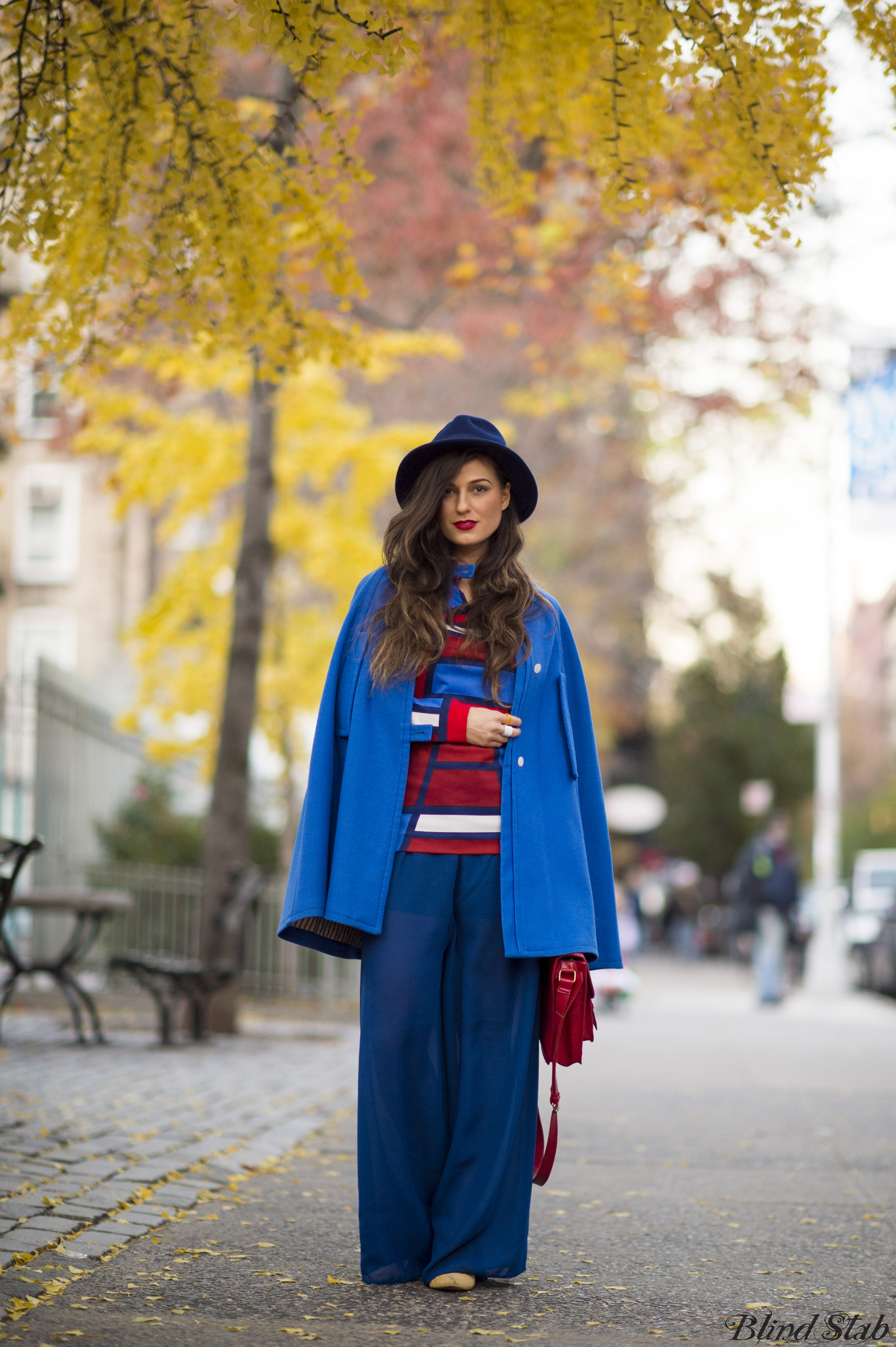 Blue-Cape-Sheer-Pants-Satchel