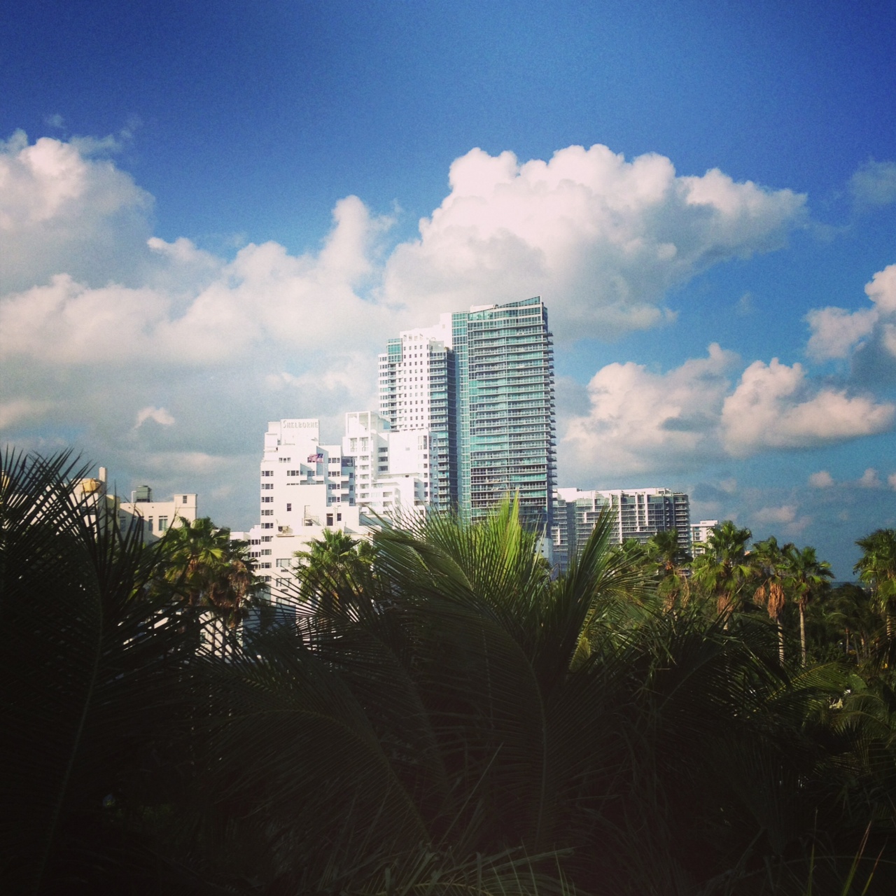 Blind Stab South Beach Miami Florida Instagram 30