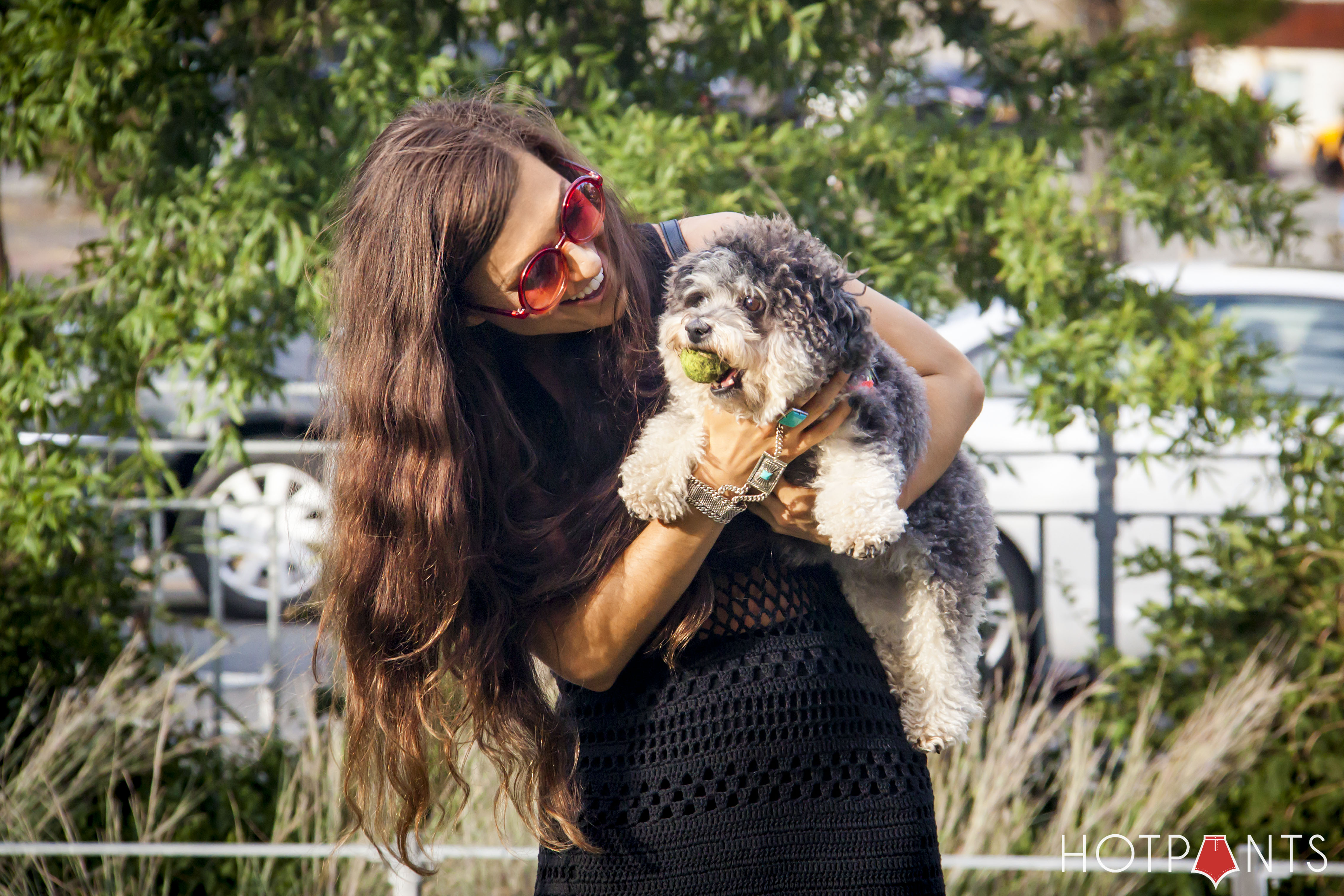 Poodle Puppy Black Alexander Wang Cutout Ankle Boots