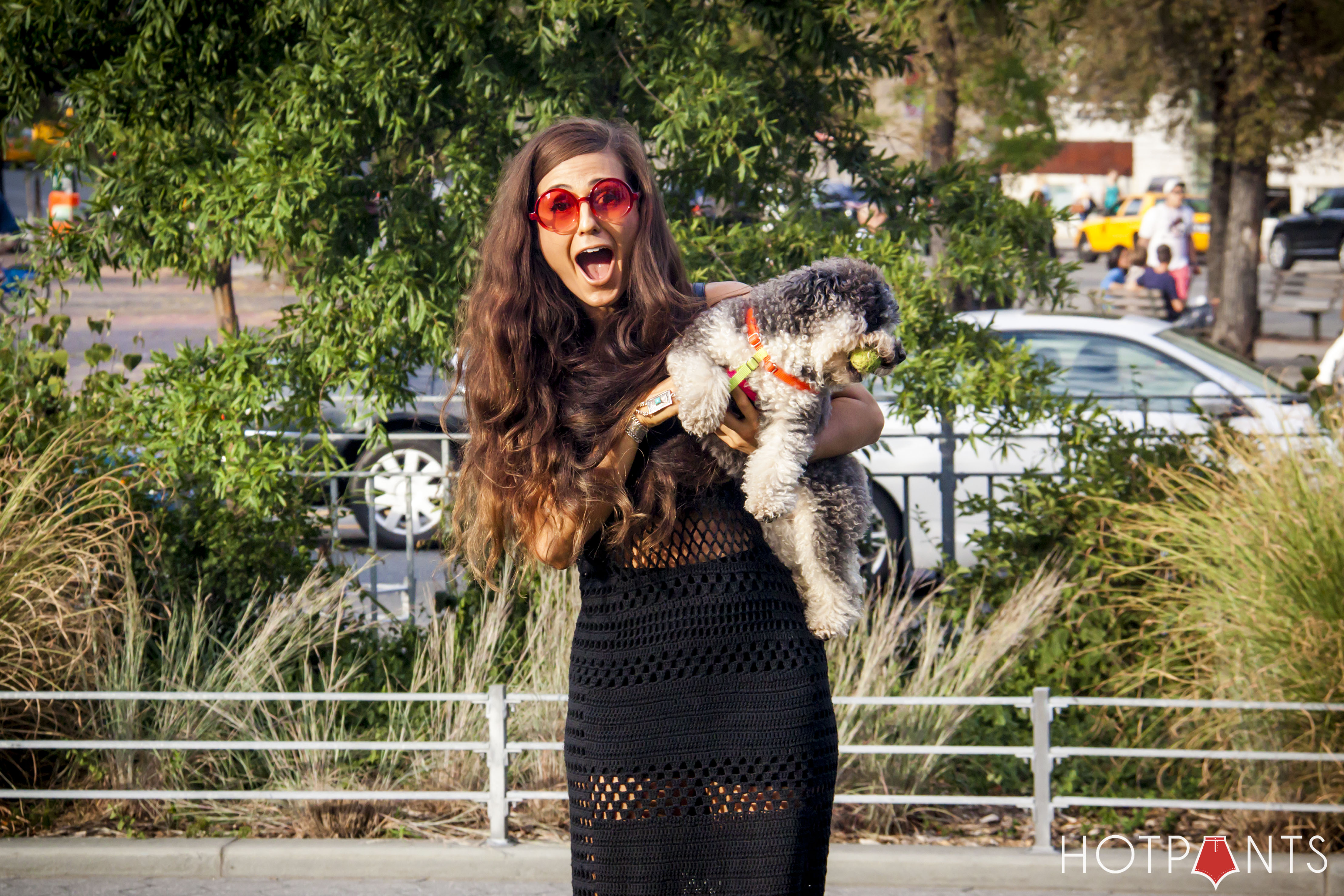 Poodle Puppy Black Alexander Wang Cutout Ankle Boots