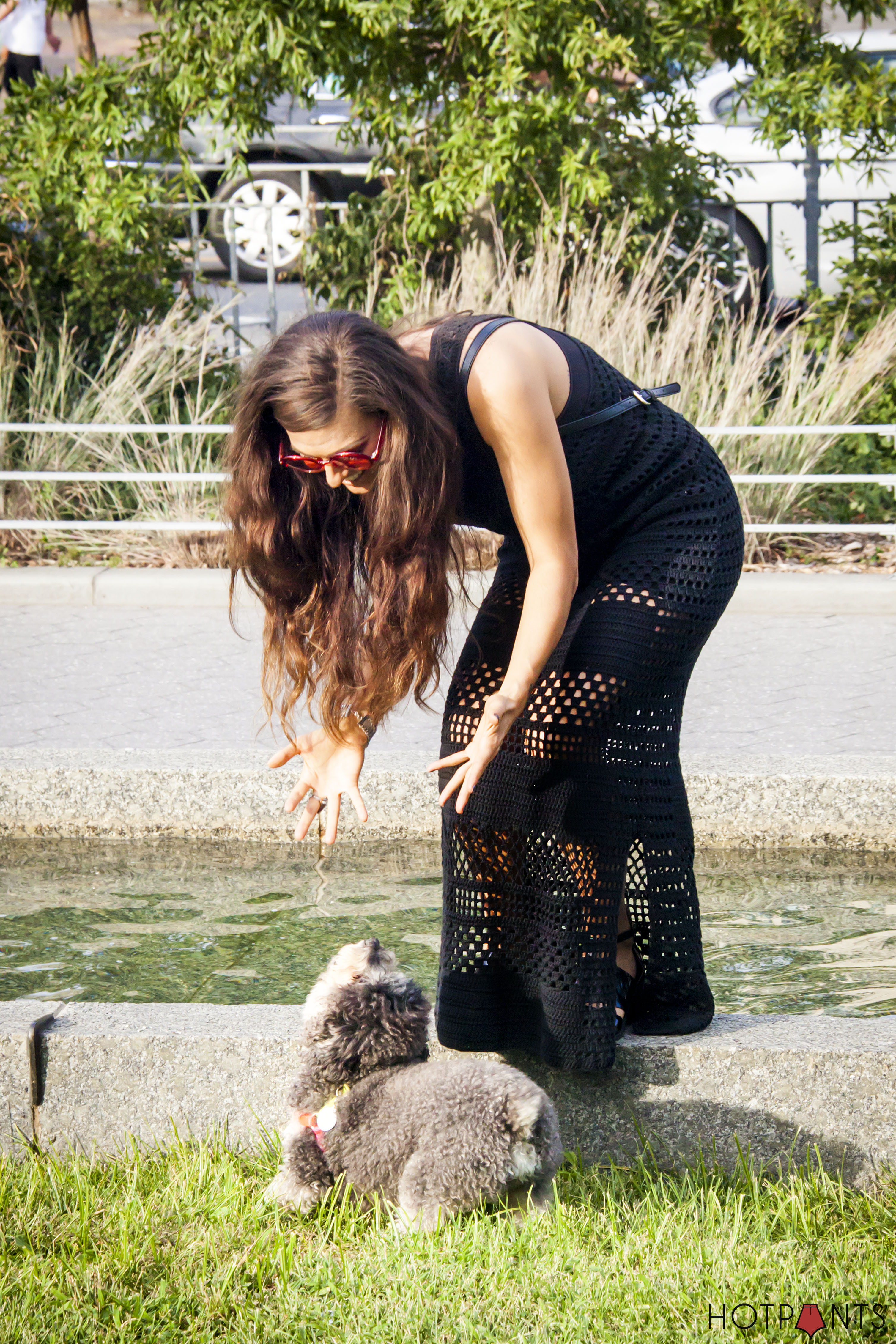 Poodle Puppy Black Alexander Wang Cutout Ankle Boots