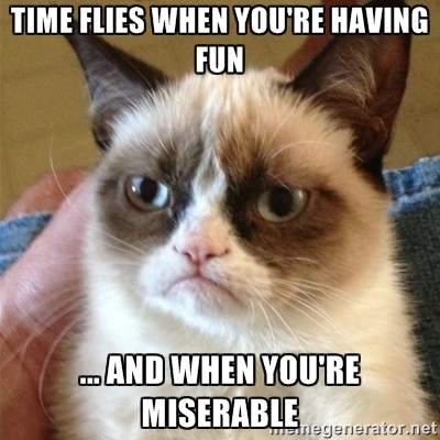 Lol Cat lolcat Miserable Time Flies
