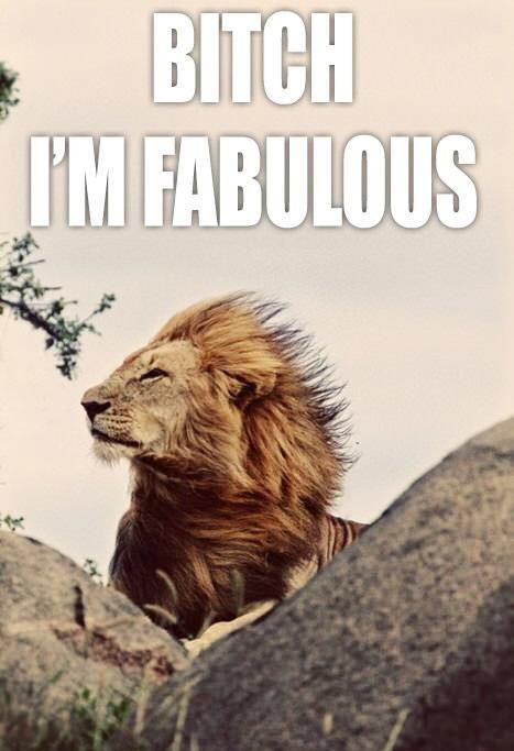 bitch-im-fabulous_o_725529